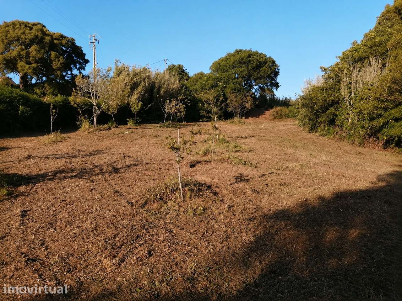 Terreno Rustico com Tiny House vista Serra e Mar - Grande imagem: 2/7