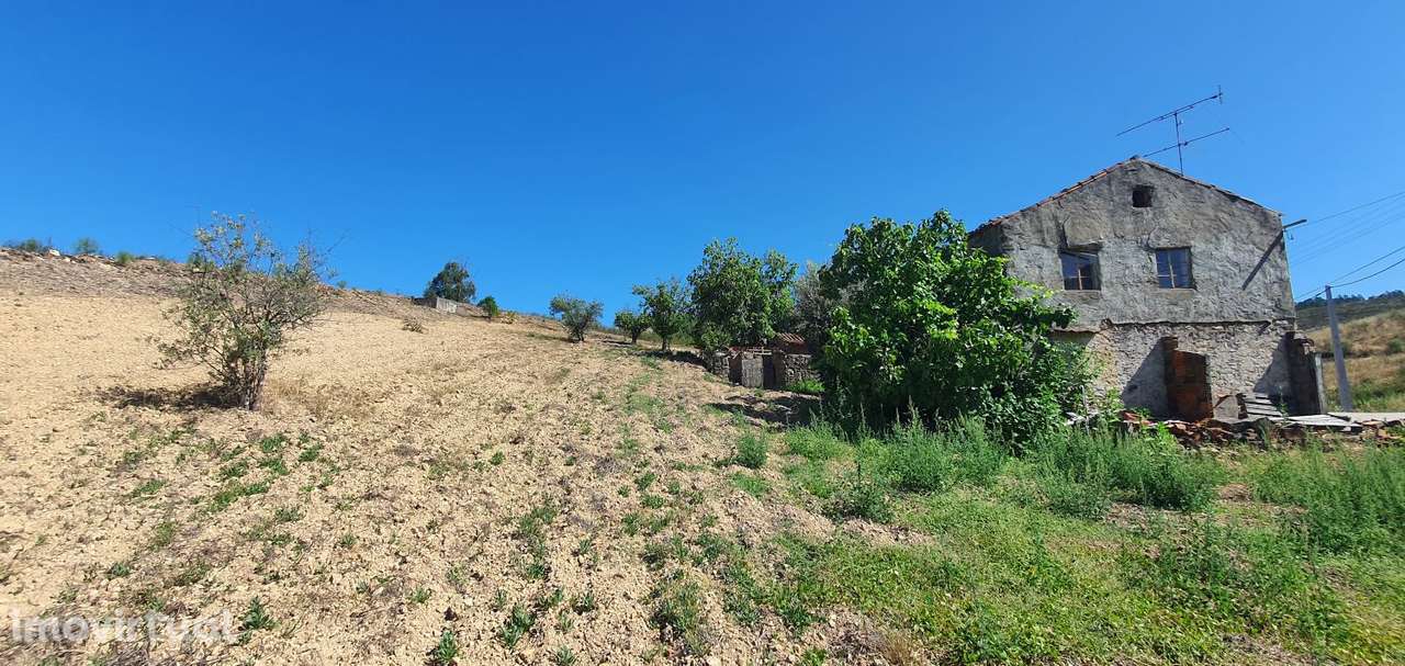 Quintinha com casa 90 m2 e terreno 3080 m2, perto da Amêndoa e Vila d - Grande imagem: 5/48