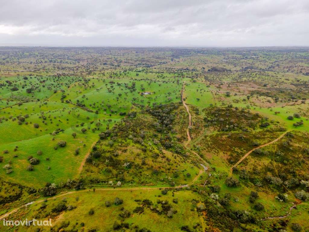 Herdade em Vila Nova de São Bento | 172 hectares - Grande imagem: 2/32