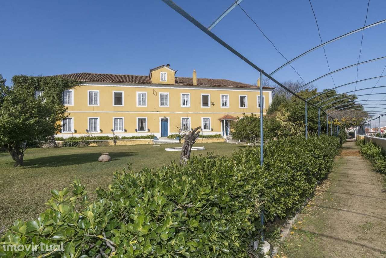 Herdade 6.4 ha, Nazaré - Grande imagem: 5/60