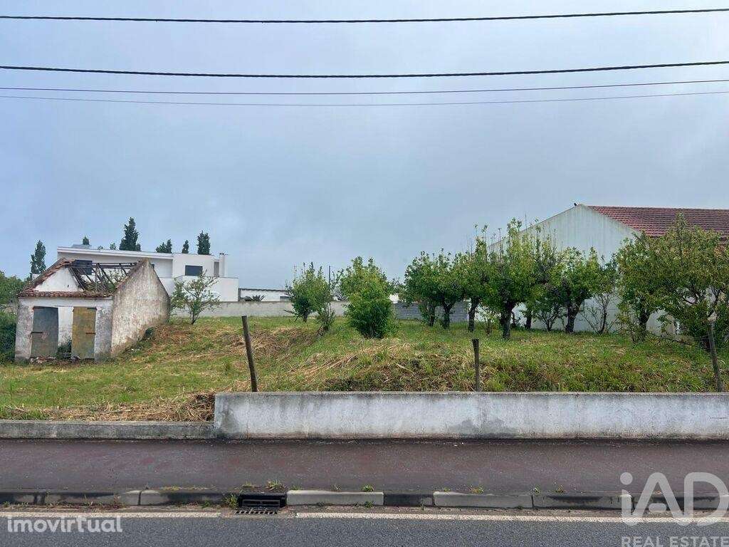 Terreno misto em Lamas e Cercal - Grande imagem: 3/19