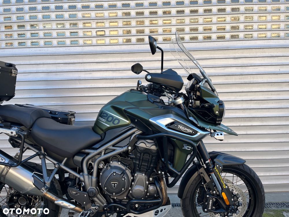 Triumph Tiger - 13