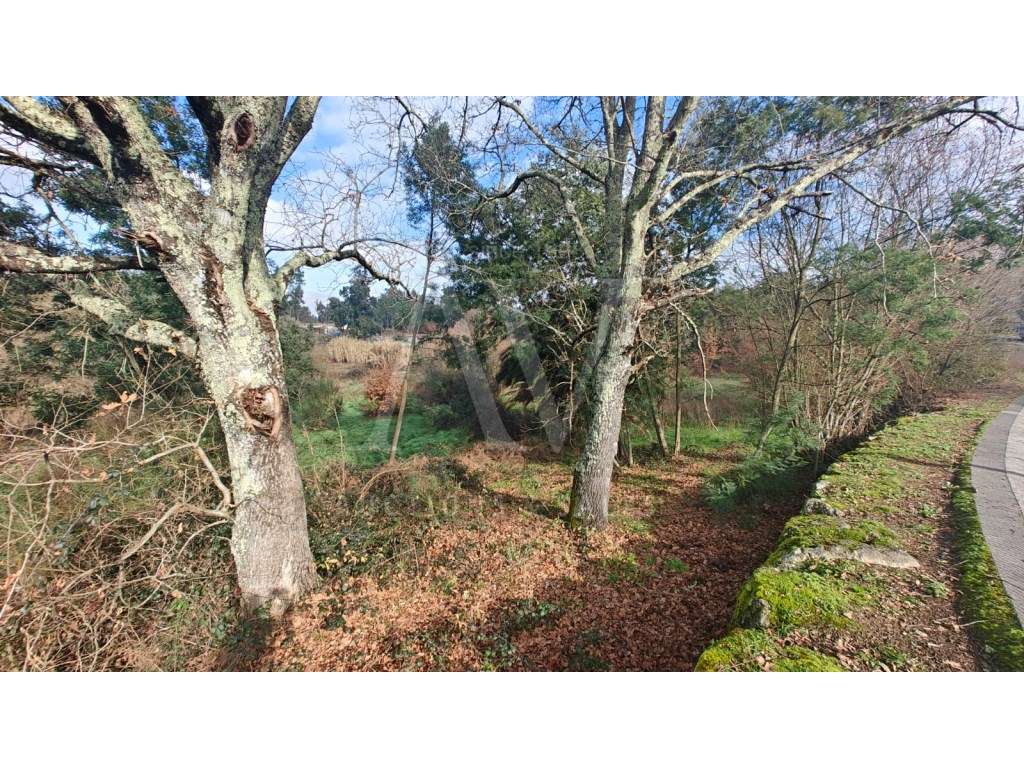 Terreno para construção - SANTA COMBA DÃO | LEILÃO ELETRÓNICO | FIM... - Grande imagem: 4/7