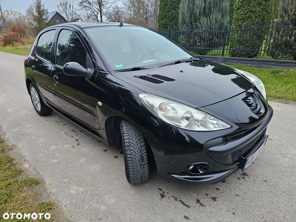 Peugeot 206 plus - 24