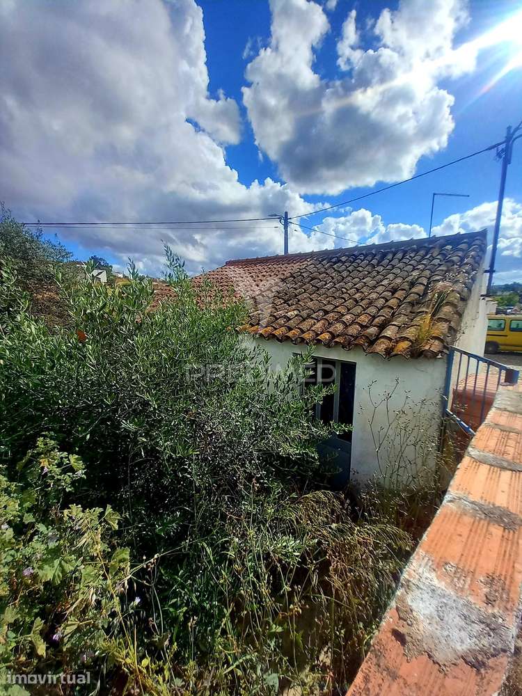 RUÍNA - Grande imagem: 2/13