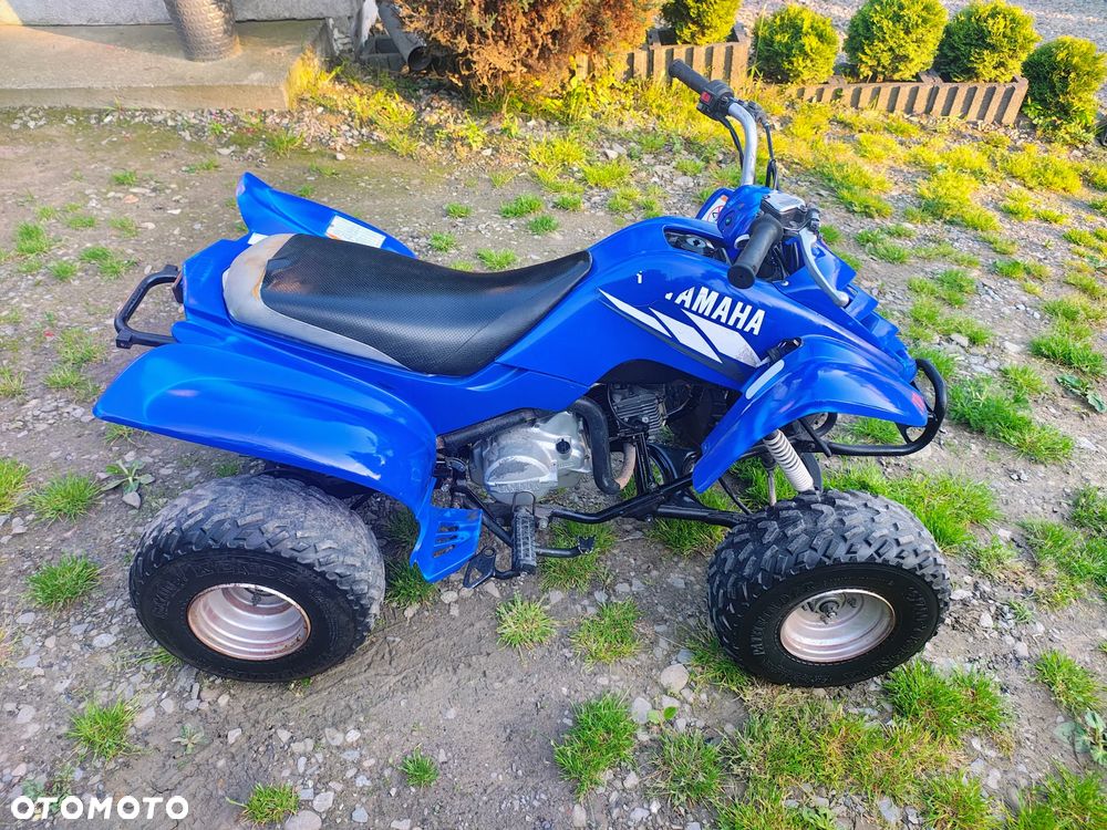 Yamaha Raptor - 7