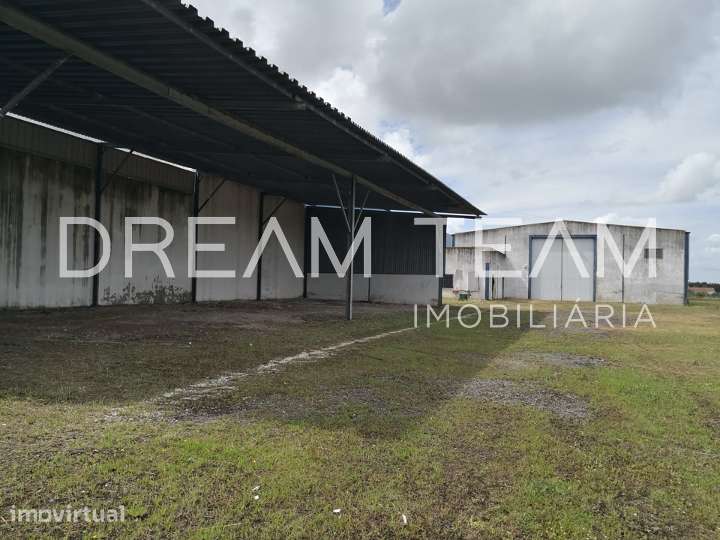Armazém com espaço exterior em Pegões - Grande imagem: 4/27