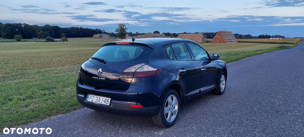 Renault Megane 1.6 16V Dynamique Euro5 - 12