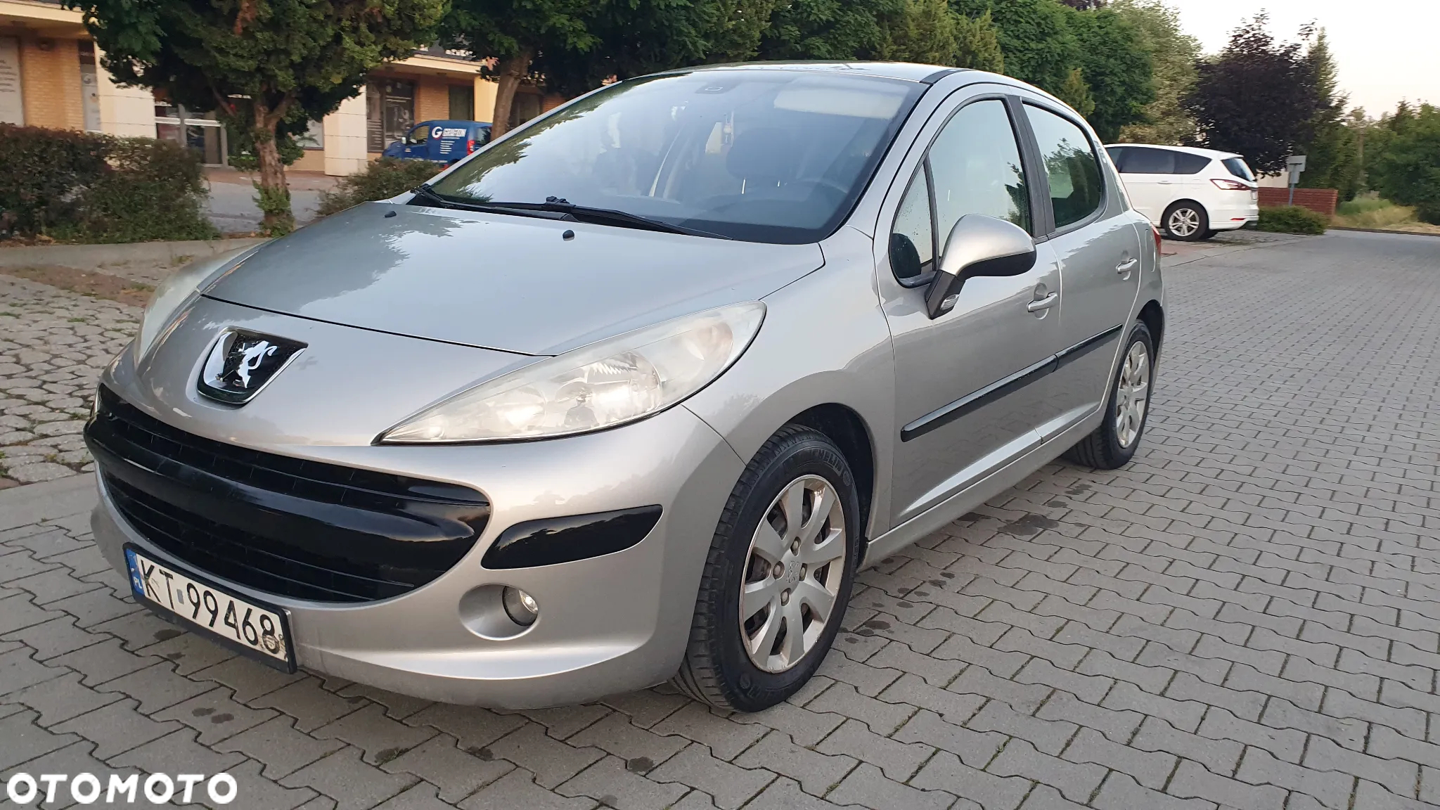 Peugeot 207 - 13