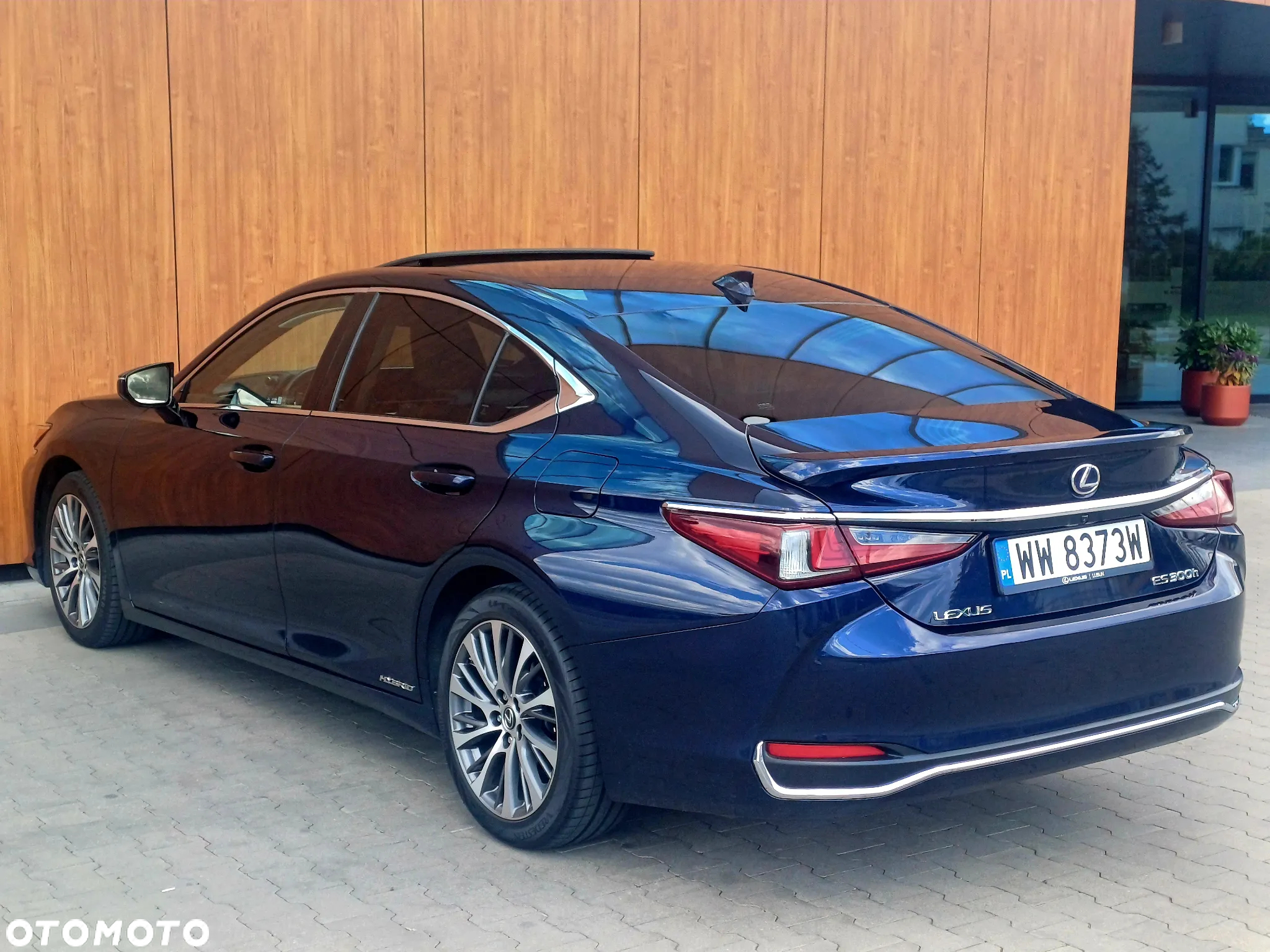 Lexus ES 300h Business Edition + - 5