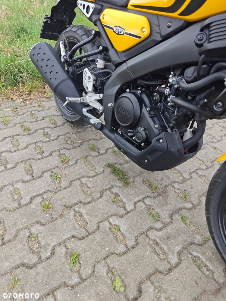 Yamaha XSR - 6