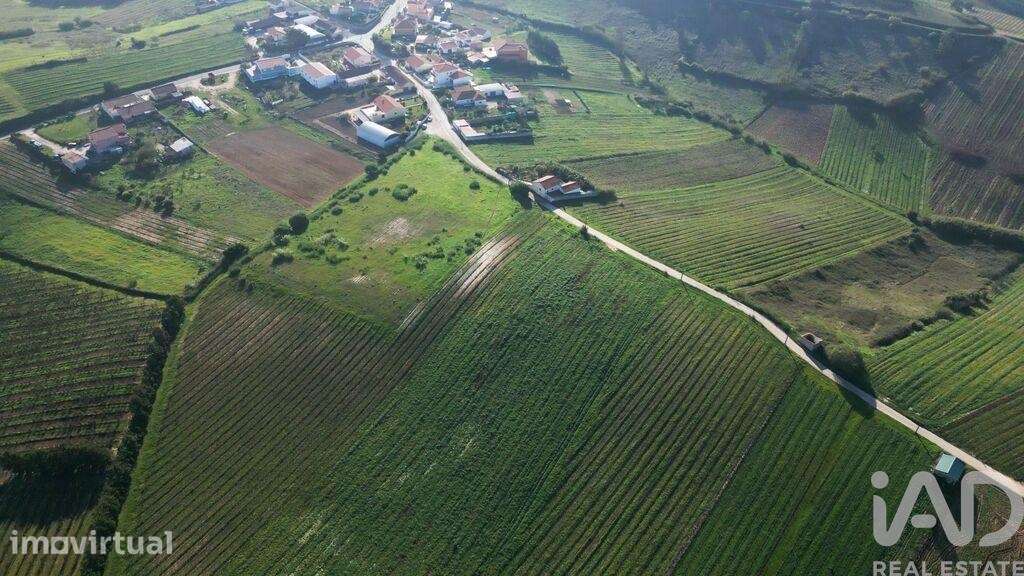 Terreno em Freiria de 15080,00 m2 - Grande imagem: 5/22