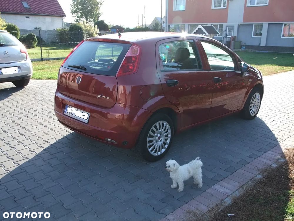 Fiat Punto 1.2 8V - 7