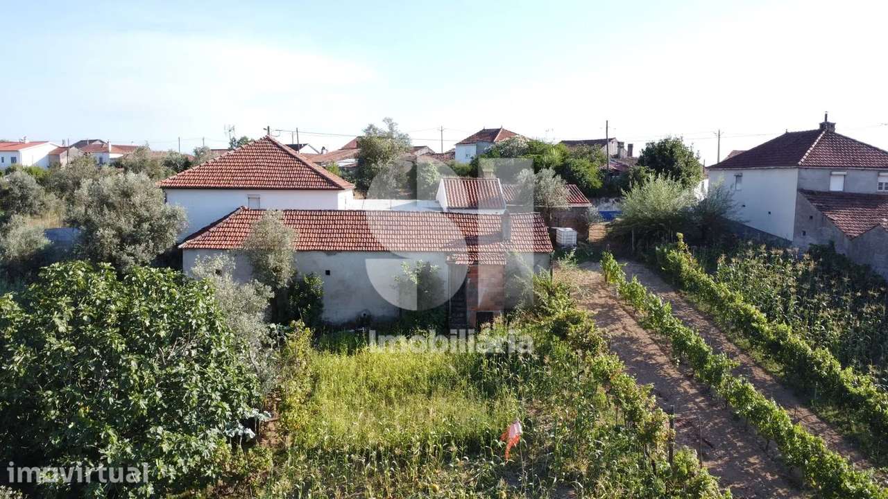 Moradia + terreno com vista sobre a Barragem da Aguieira - Grande imagem: 2/30