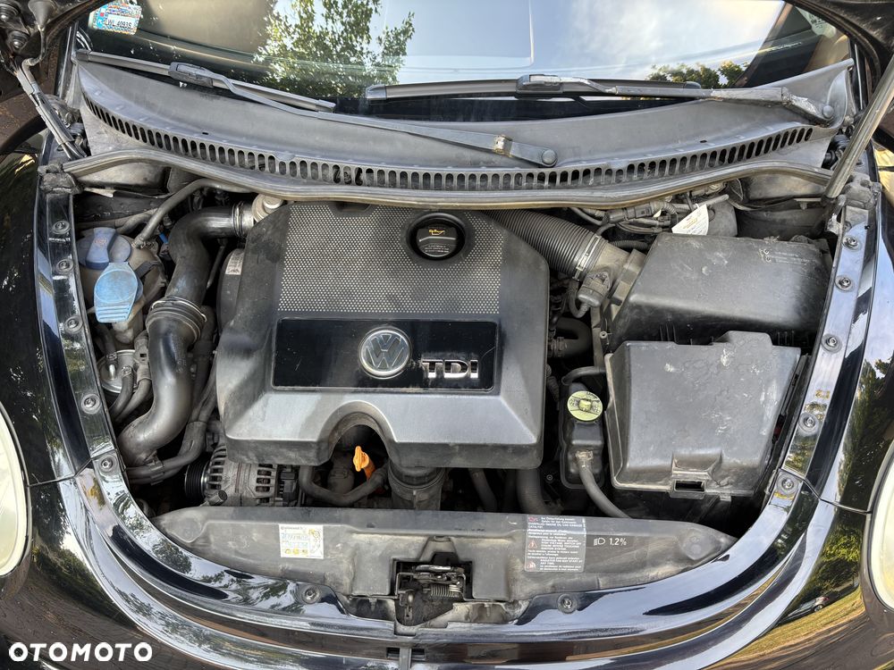 Volkswagen New Beetle - 17