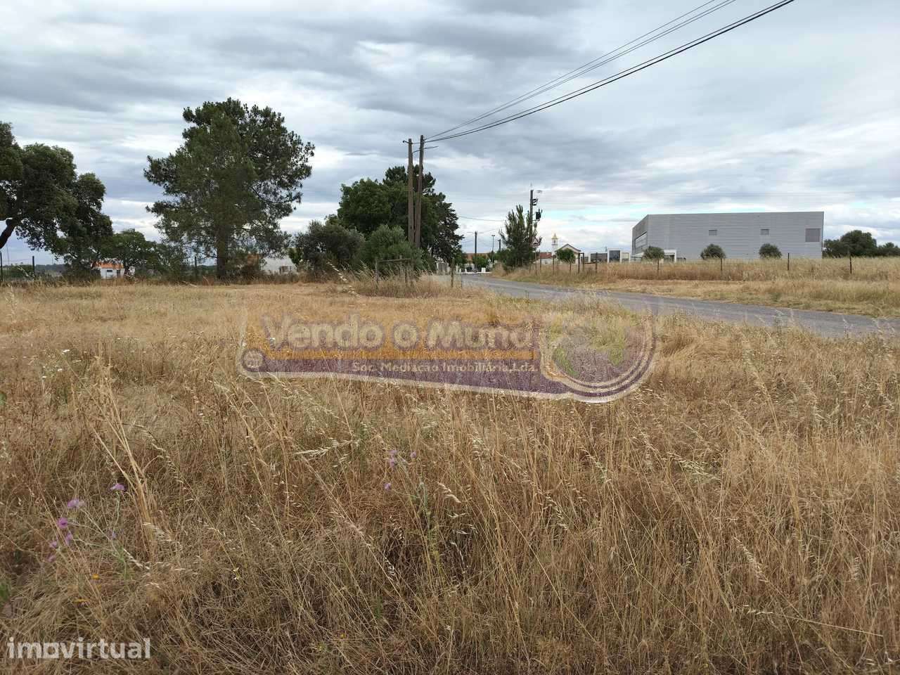 Terreno na Barrosa (BARR012) - Grande imagem: 5/9