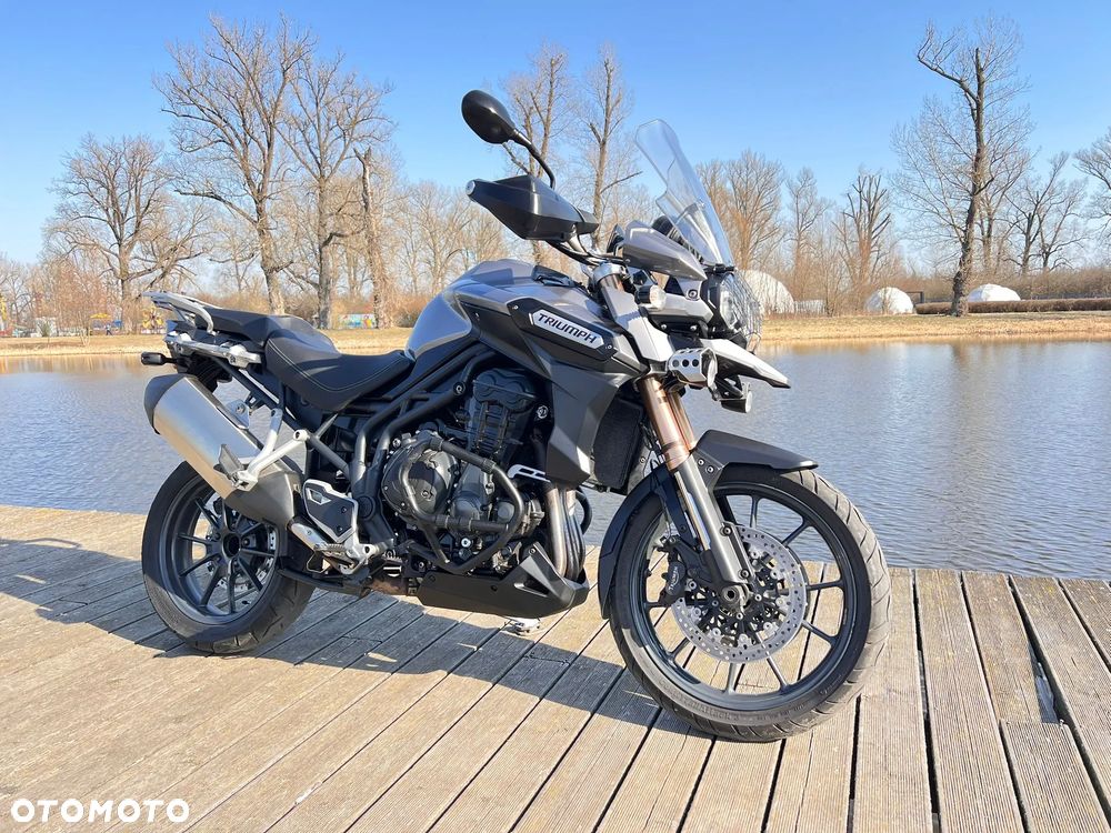 Triumph Tiger - 22