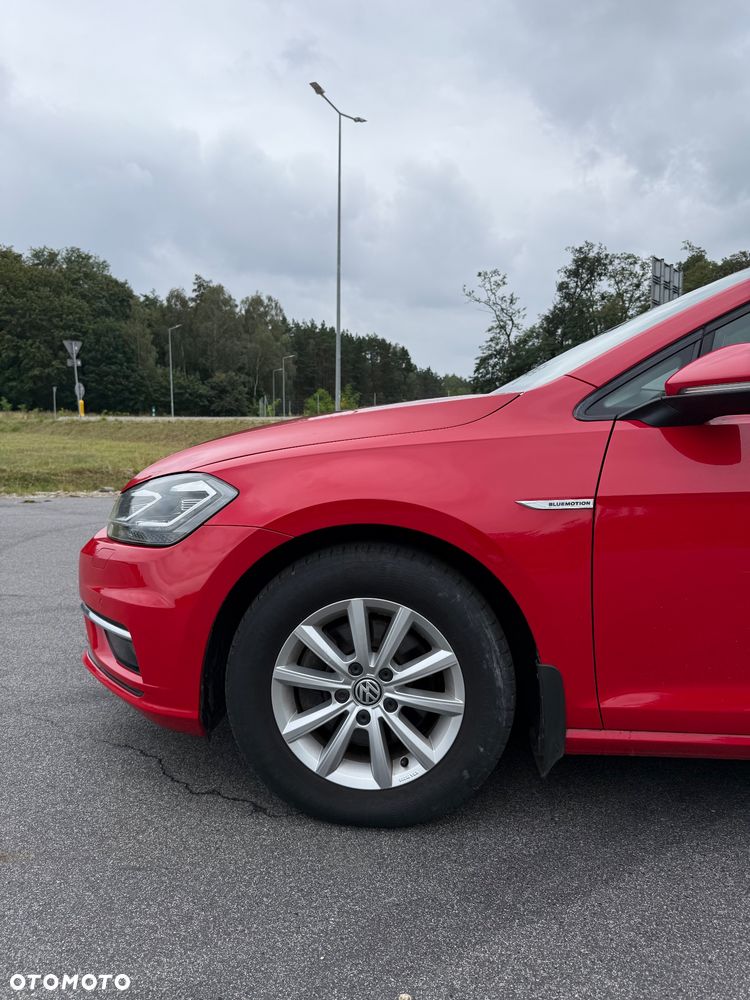 Volkswagen Golf - 8