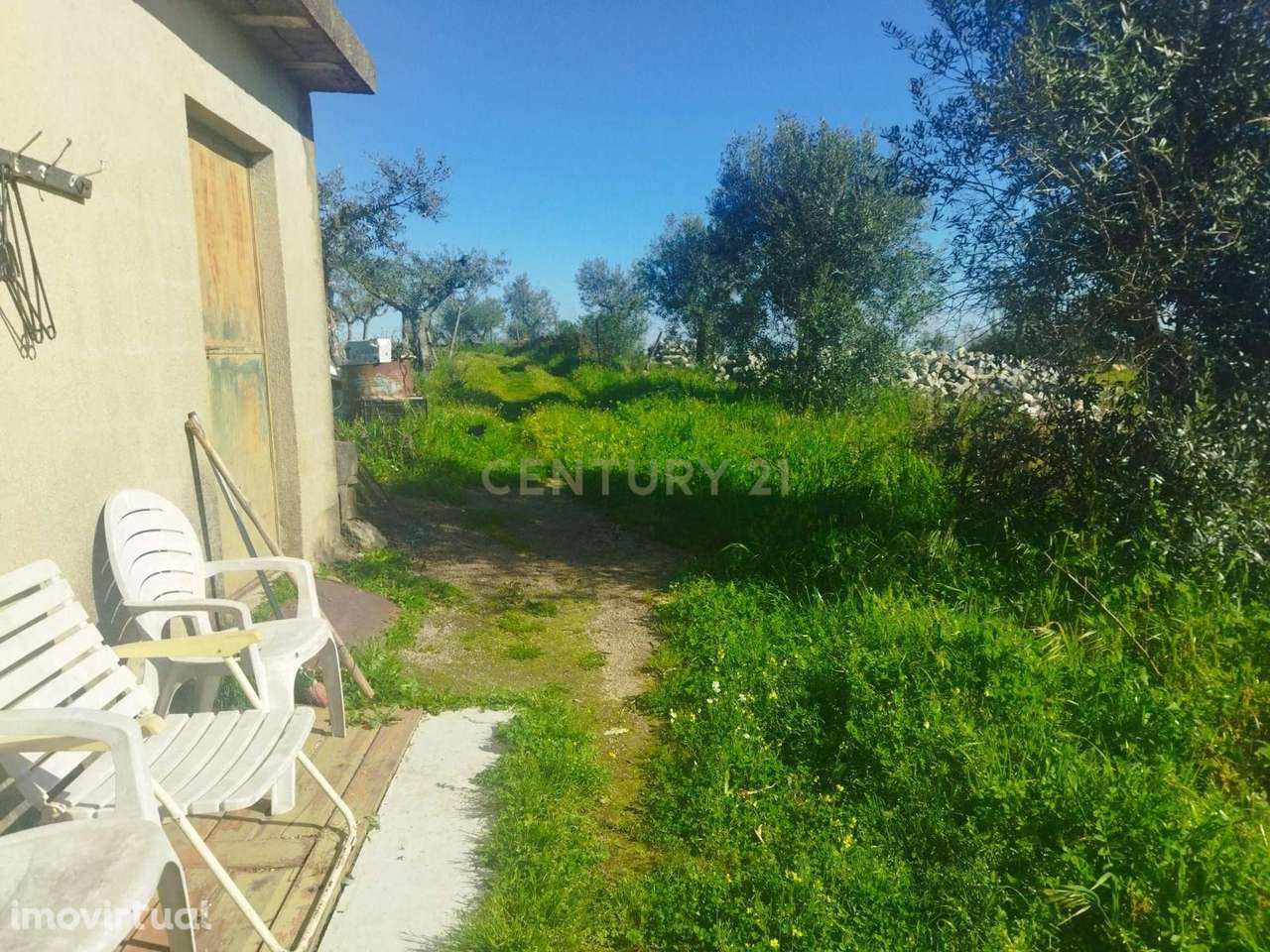Terreno Rústico, Lousa em Castelo Branco - Grande imagem: 2/10