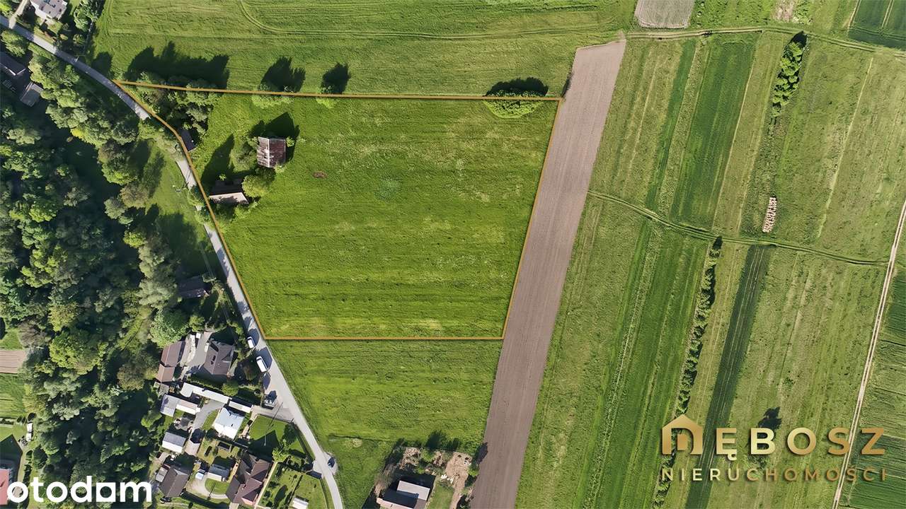 Zabierzów Bocheński | Piękna Działka budowlana przy Puszczy - 2.21 ha! - Pełny obrazek: 2/15