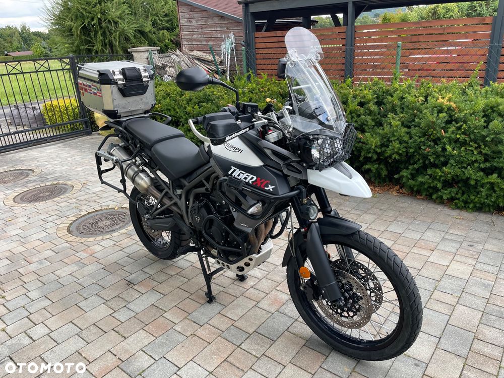 Triumph Tiger - 7