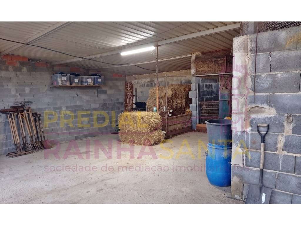 Herdade toda murada com artigo urbano 1460 m2 e rústico com 15.000 m2 - Grande imagem: 4/11