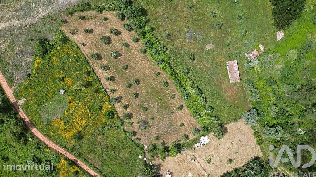 Terreno Agrícola em Espinhal - Grande imagem: 2/24