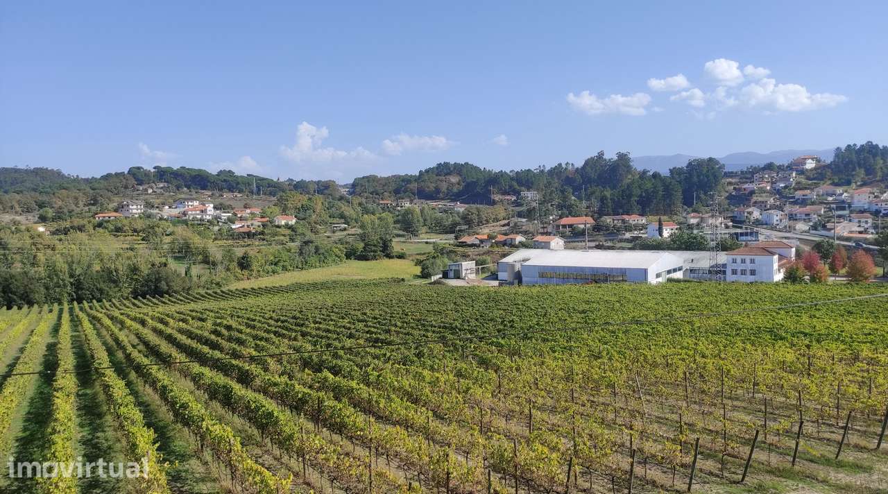 Terreno Urbano  Venda em Telões,Amarante - Grande imagem: 5/8