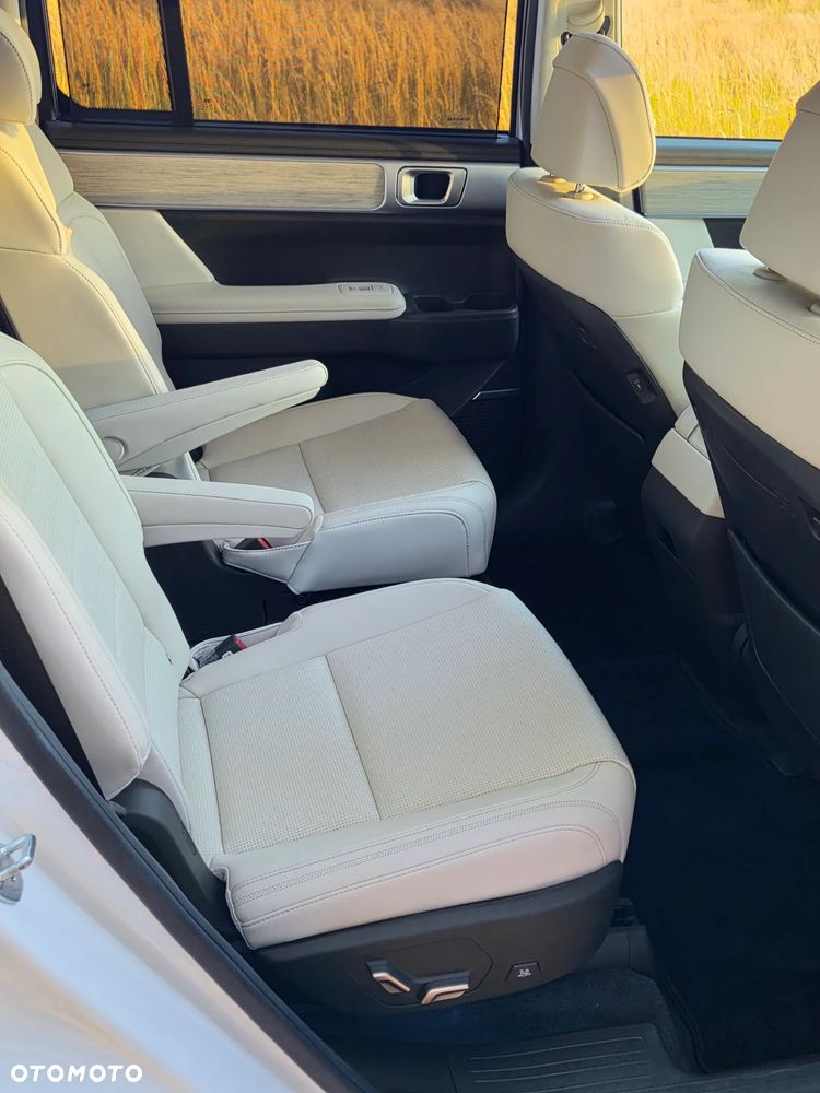Hyundai Santa Fe 1.6 T-GDI HEV Platinum - 20