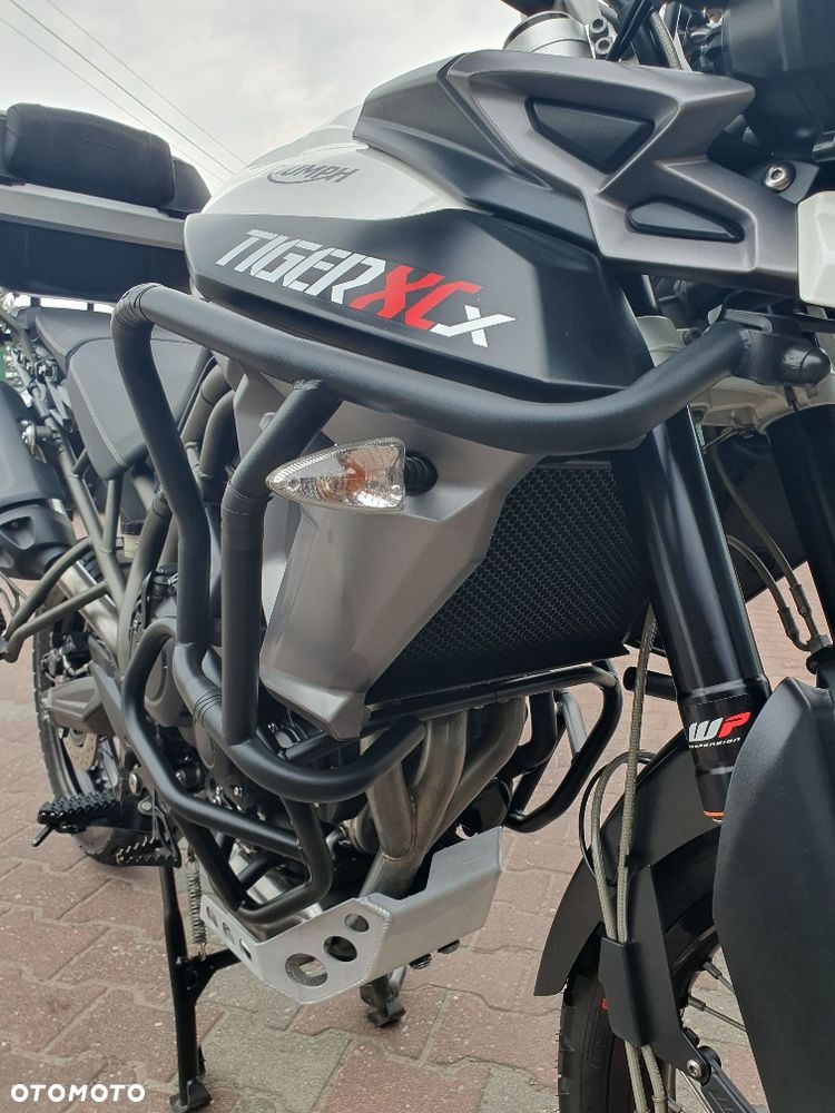 Triumph Tiger - 27