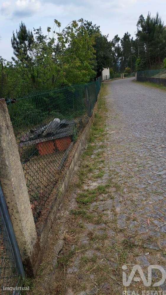 Terreno em Santo isidoro e livração de 2100,00 m2 - Grande imagem: 5/25