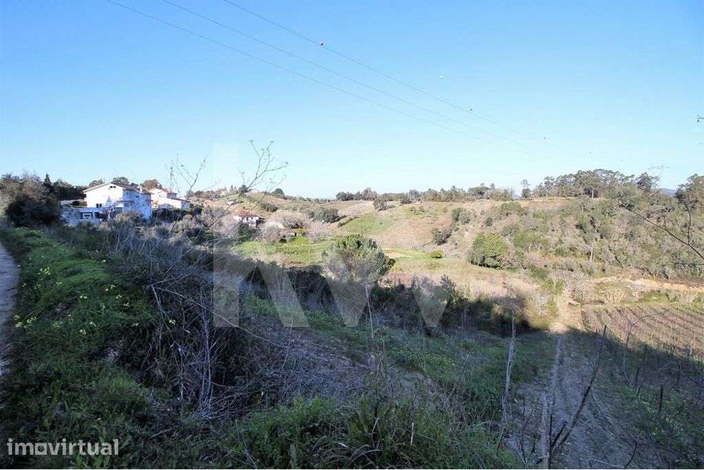 Terreno Rústico | 4850m2 | Marco dos Pereiros | Coimbra - Grande imagem: 2/12