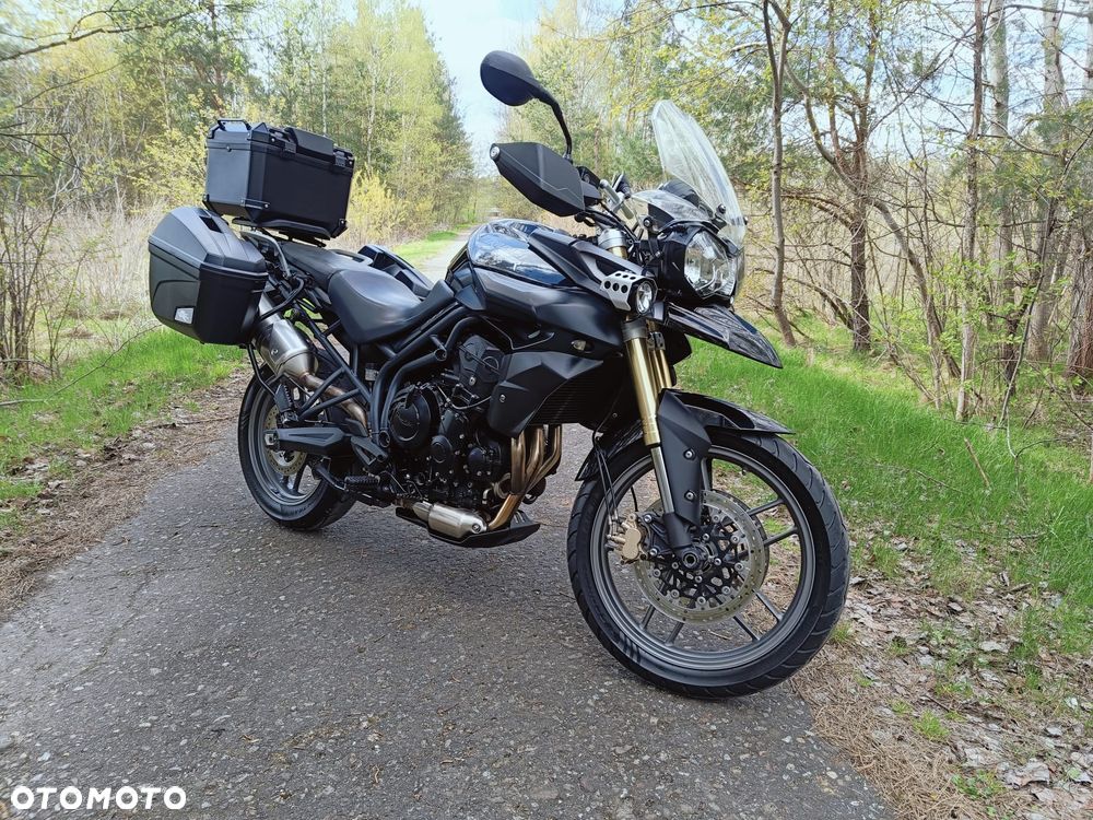 Triumph Tiger - 1