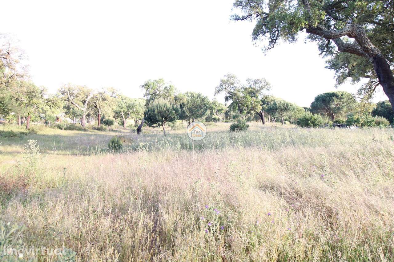 Terreno Rústico com 3,625 Hectares em Cortiçadas de Lavre e Lavre - Grande imagem: 2/24