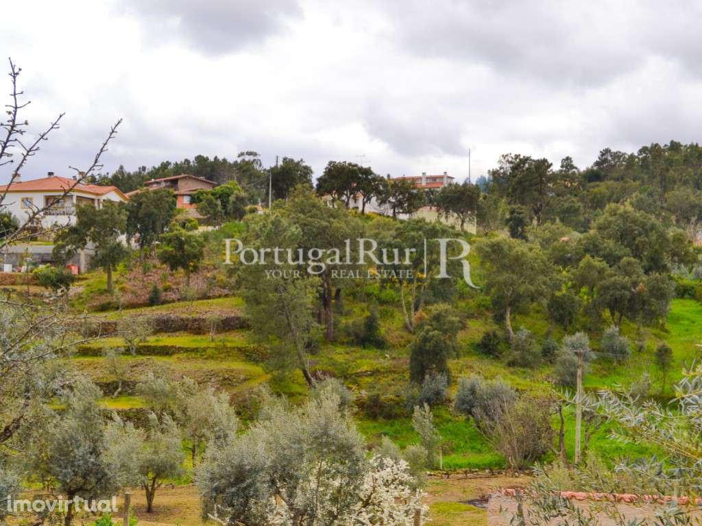 Lote com 2.017 m² para construção em Proença-a-Nova - Grande imagem: 4/10