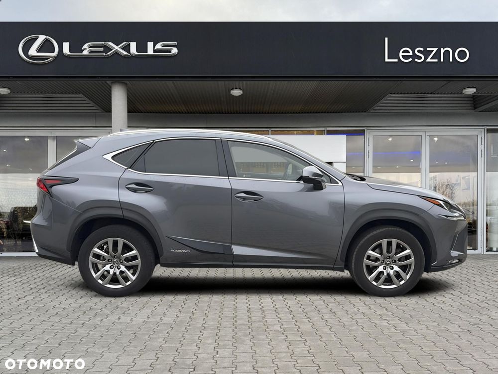 Lexus NX 300h Elegance AWD - 7