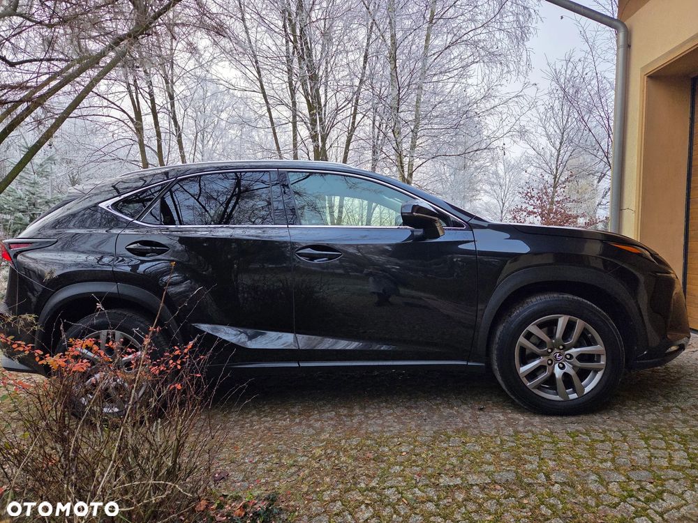 Lexus NX 300 Comfort AWD - 8