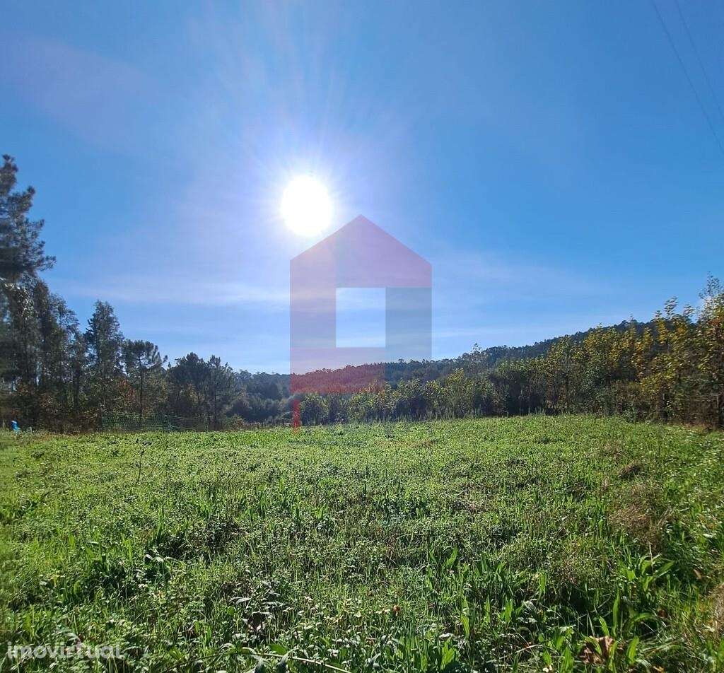 Terreno Agrícola, Gondiães - Grande imagem: 2/9