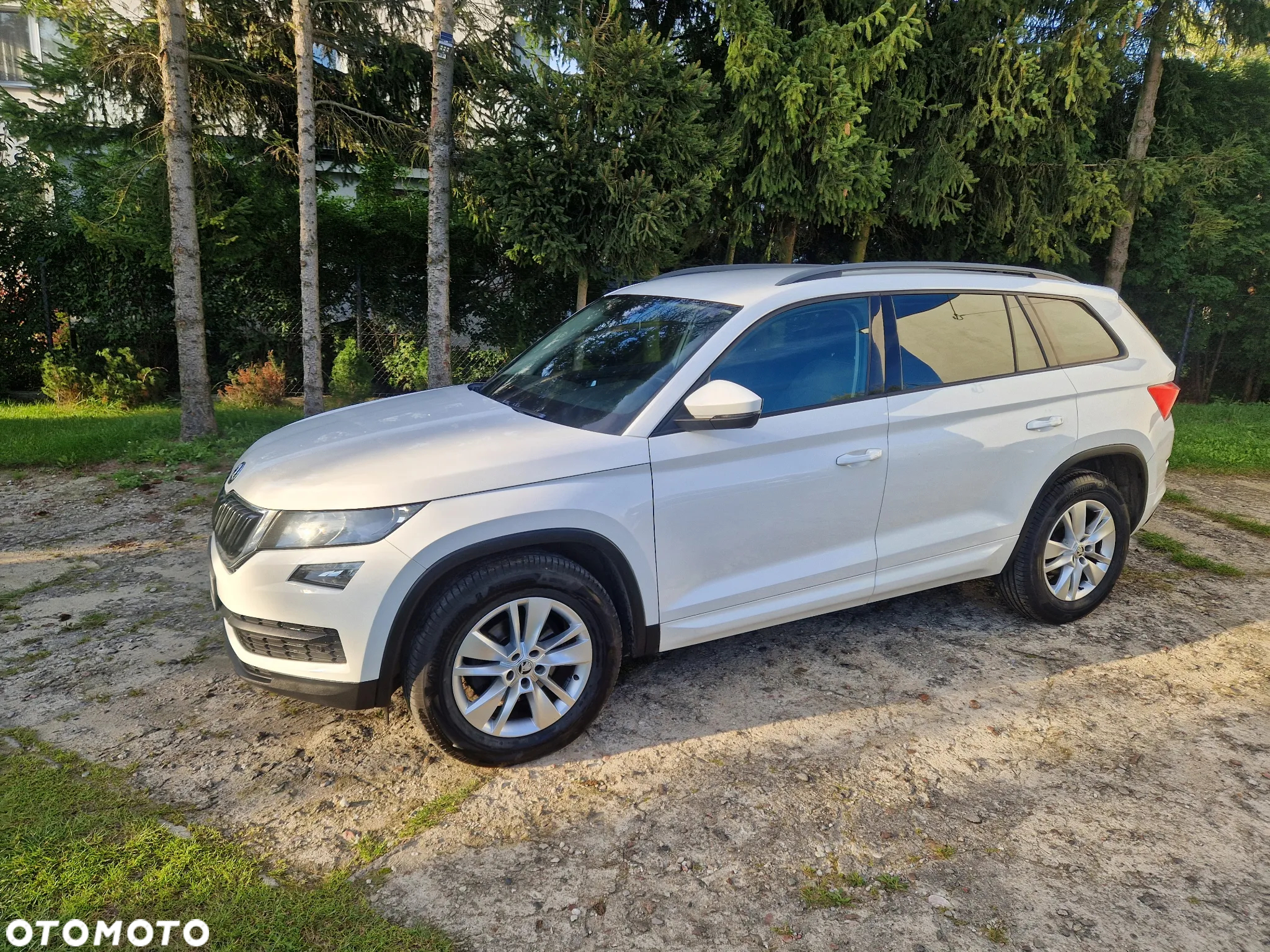 Skoda Kodiaq 2.0 TDI 4x4 Sportline DSG 7os - 2