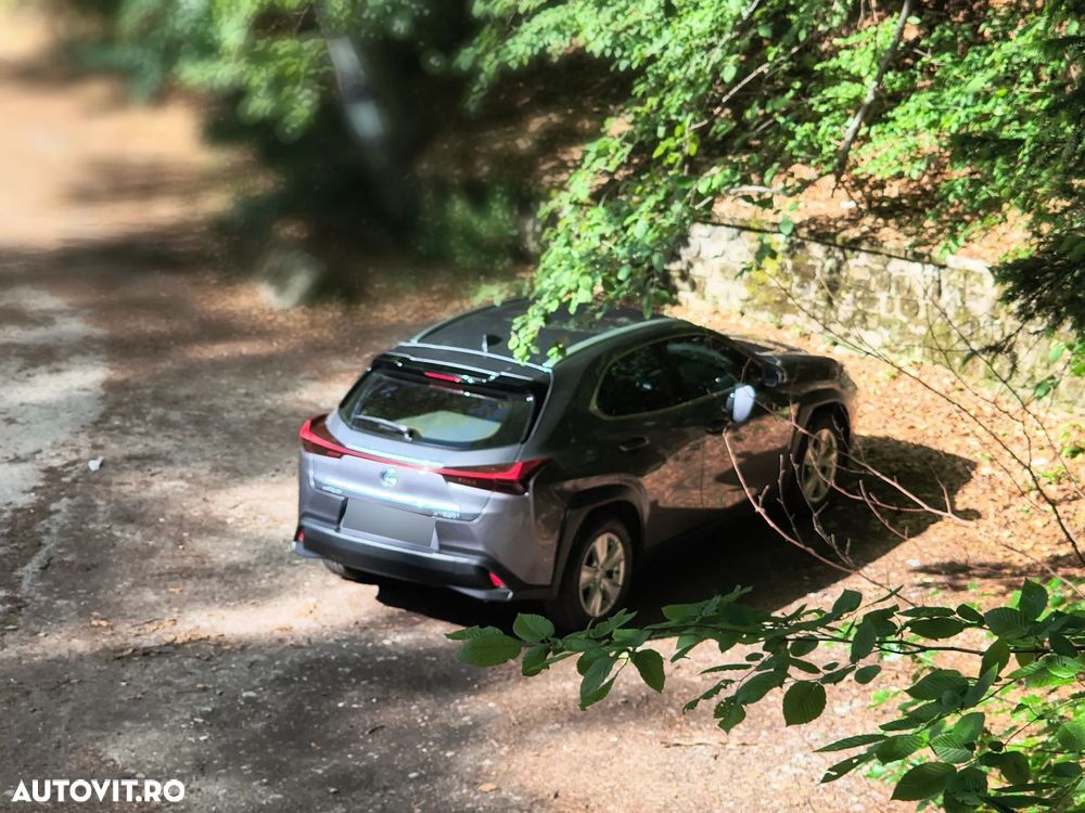 Lexus UX 250h (E-FOUR) Business Edition - 2