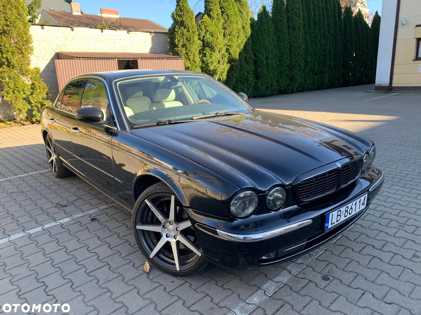 Jaguar XJ XJ8 3.5 - 8