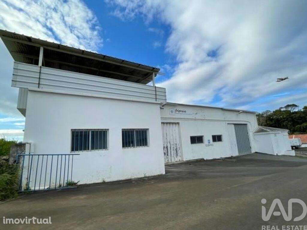 Hangar em Praia da Vitória (Santa Cruz) de 2202,00 m2 - Grande imagem: 5/17