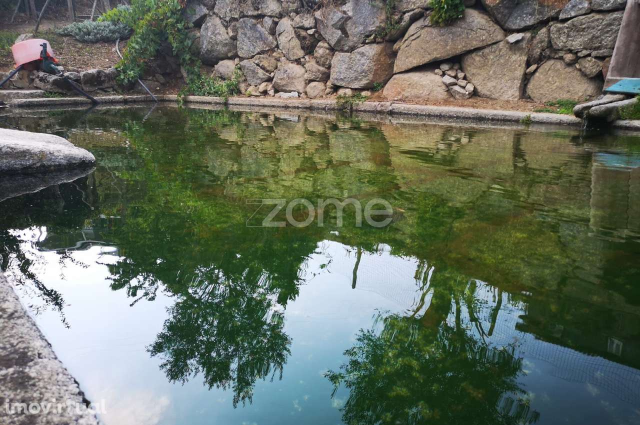 Quinta da Quebrada, Tresouras, Baião, Porto - Grande imagem: 2/60