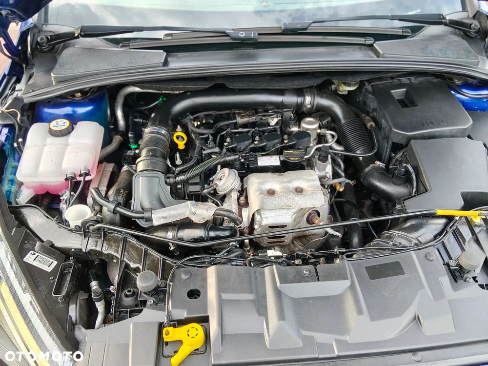 Ford Focus - 19