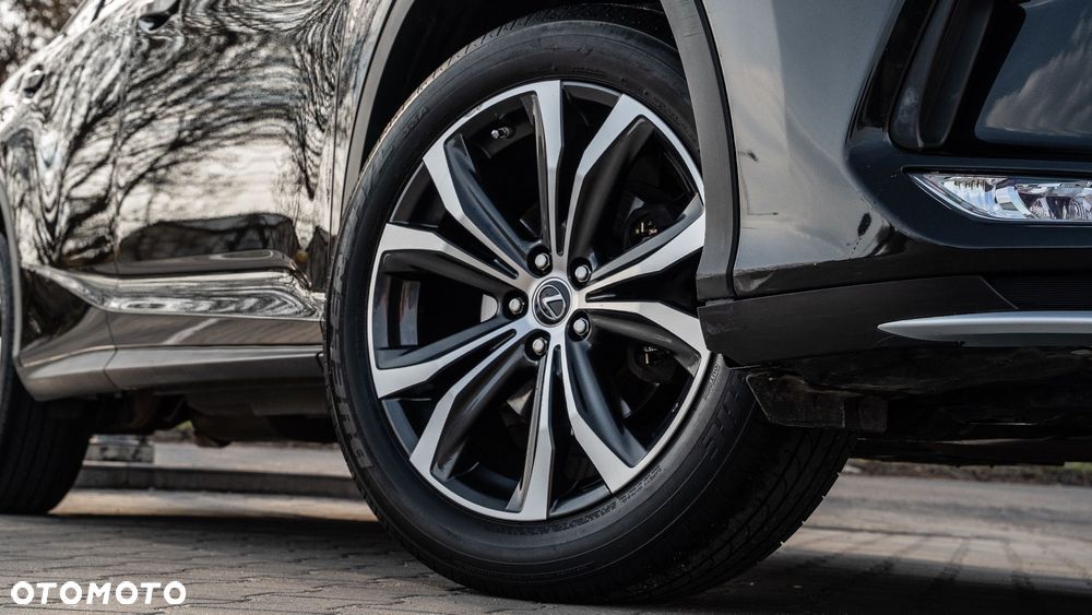 Lexus RX 300 Business Edition + - 17