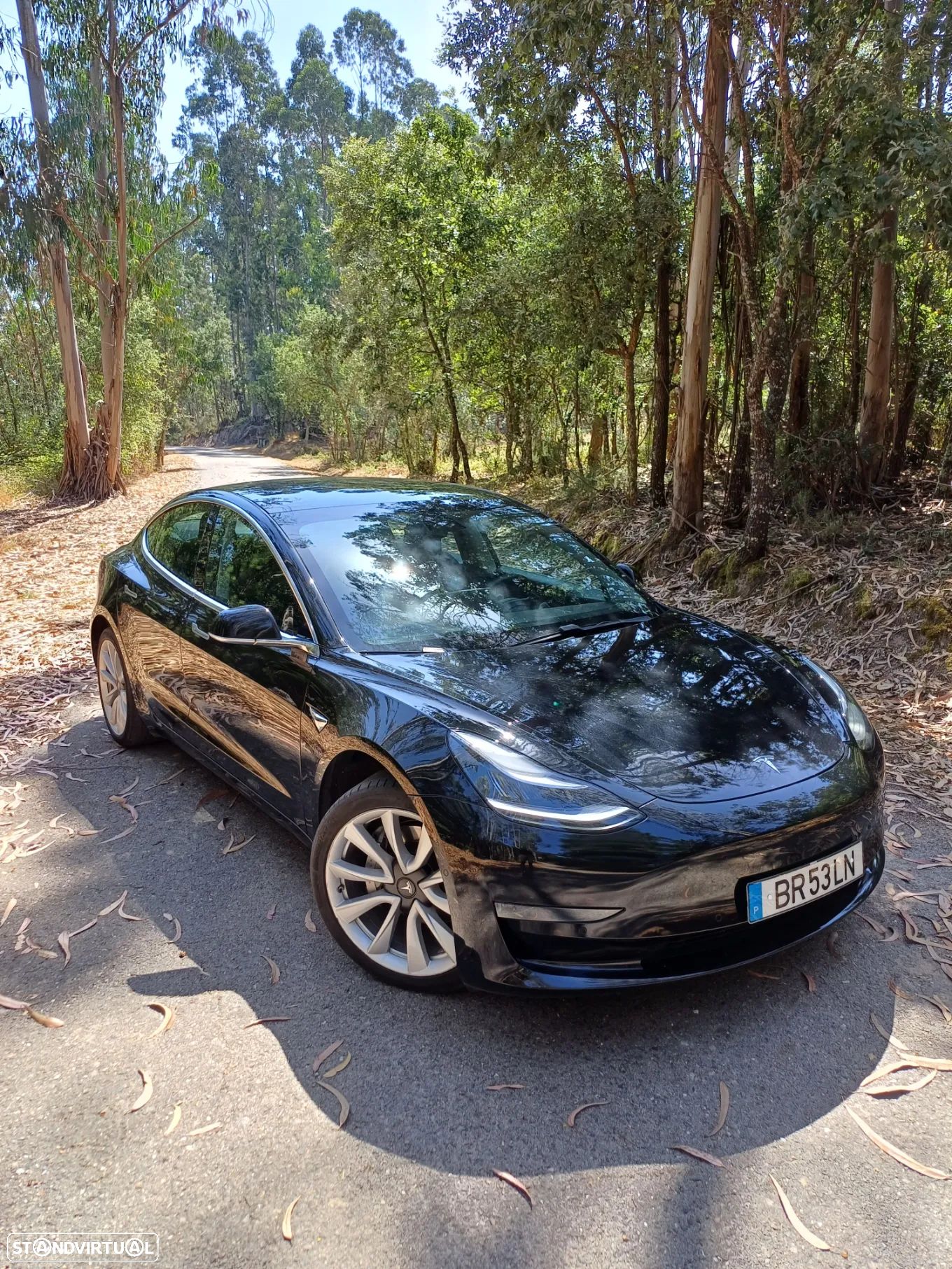 Tesla Model 3 Long Range AWD Dual Motor - 1