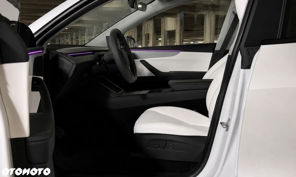 Tesla Model Y Long Range Dual Motor AWD - 10