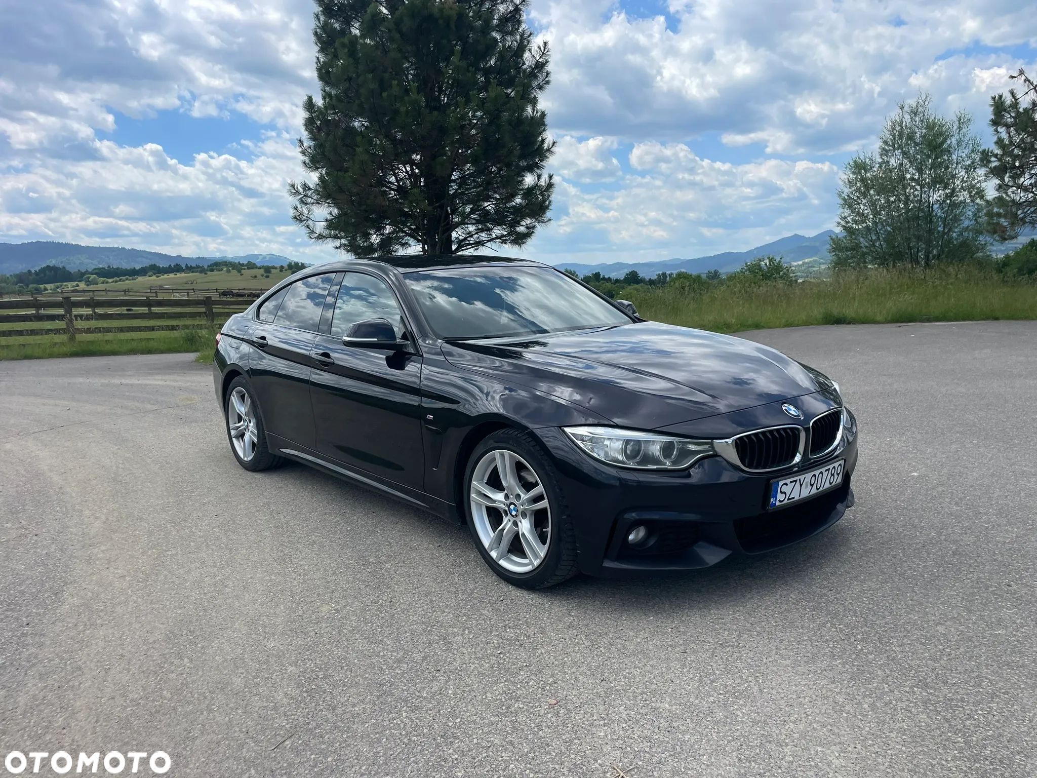 BMW Seria 4 418d Gran Coupe - 1