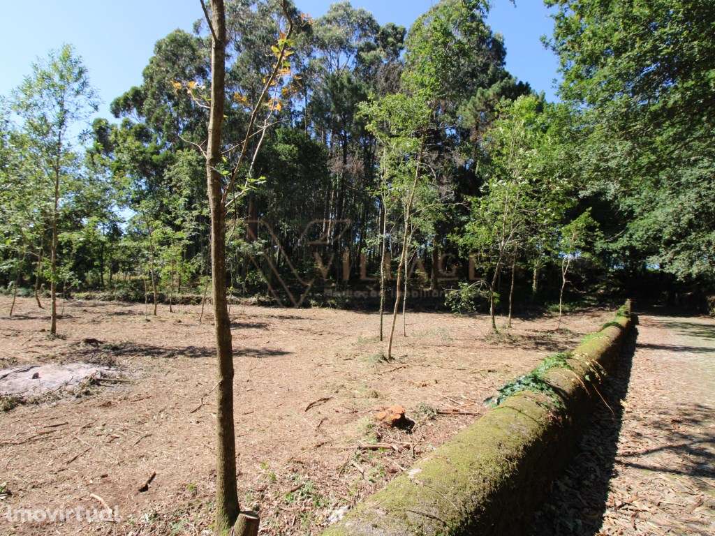 Terreno para construção - Grande imagem: 3/14