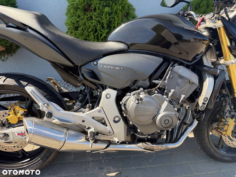 Honda Hornet - 10